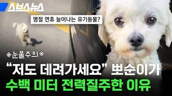 매년 명절 연휴에 폭증한다는 대참사