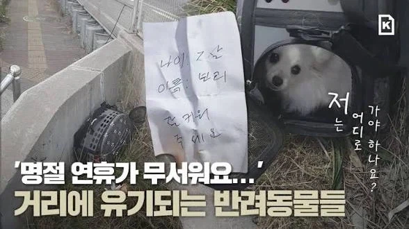 매년 명절 연휴에 폭증한다는 대참사 - 이미지 2