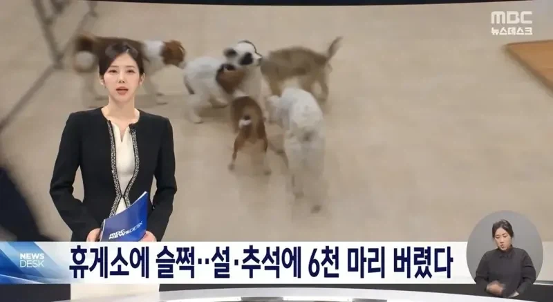 매년 명절 연휴에 폭증한다는 대참사 - 이미지 3