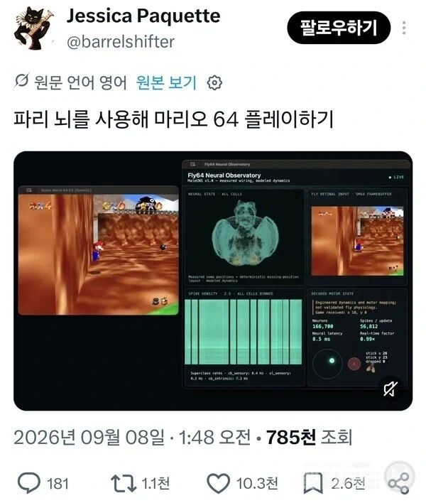 초파리 뇌로 둠만 하는게 아님 - 이미지 2