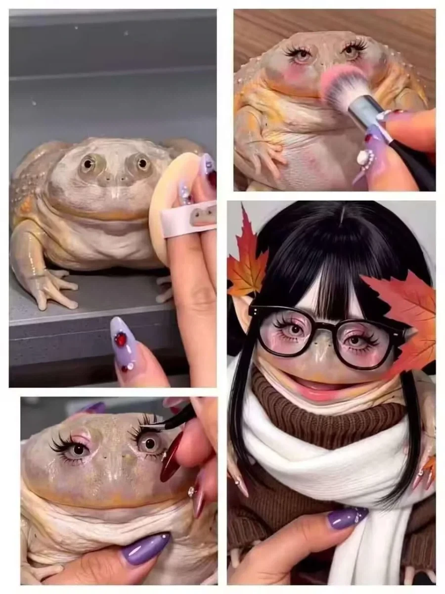 화장의 효과