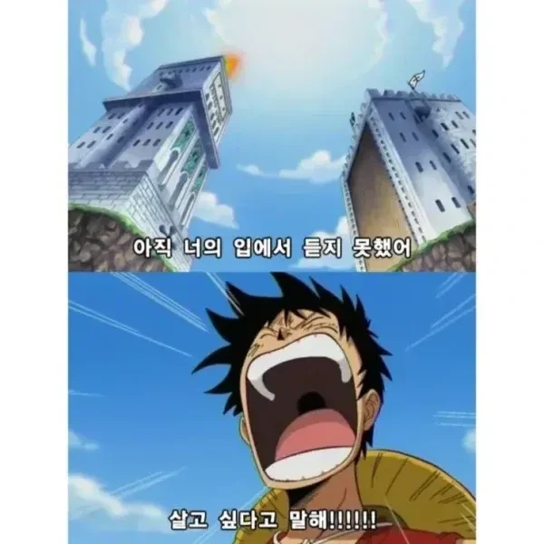 실제로 있었던 밀짚모자 해적단 사례.jpg