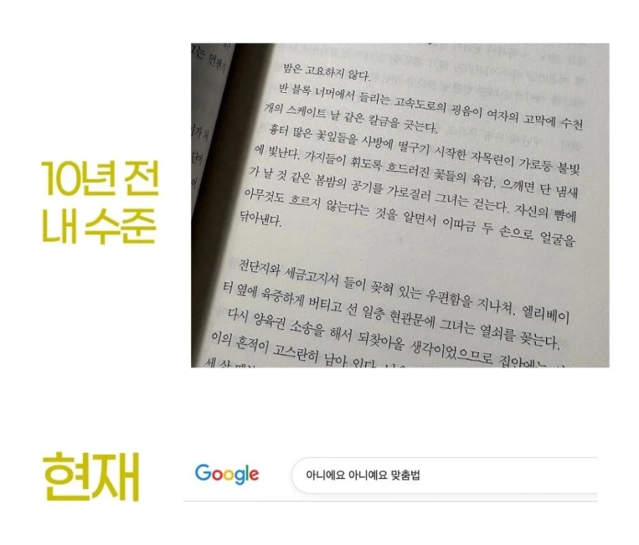 10년전 내 수준 - 지금 내 수준 - 이미지 3