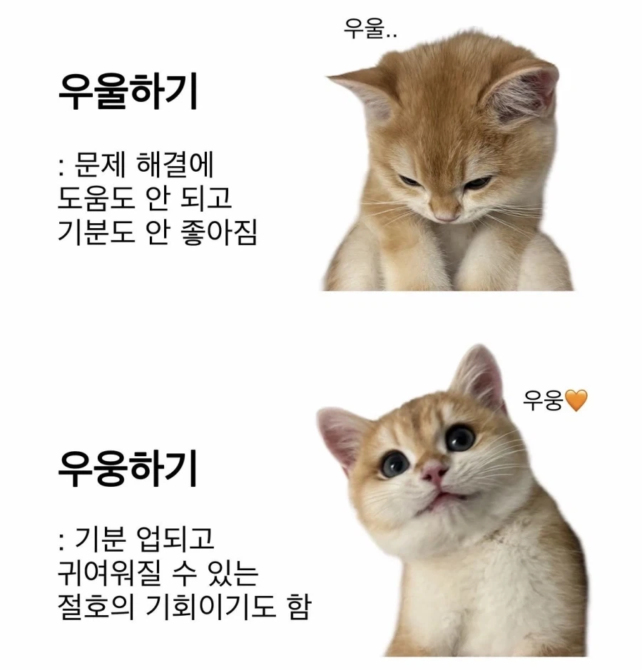우울하기 vs 우우하기