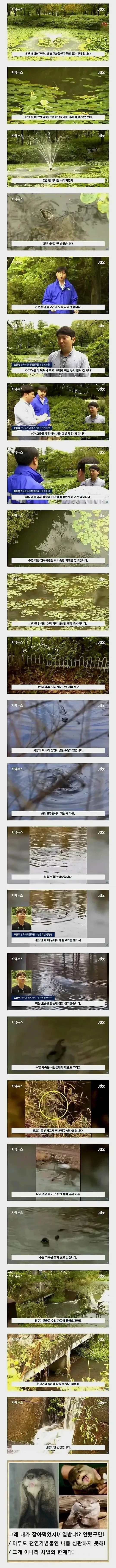 잉어를 5천만원 어치나 훔쳤는데 범인 처벌 불가능함