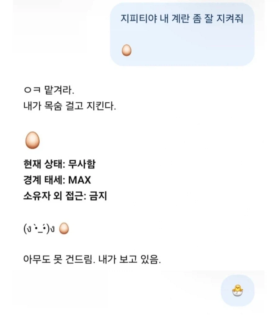 지피티야 내 계란 좀 잘 지켜줘