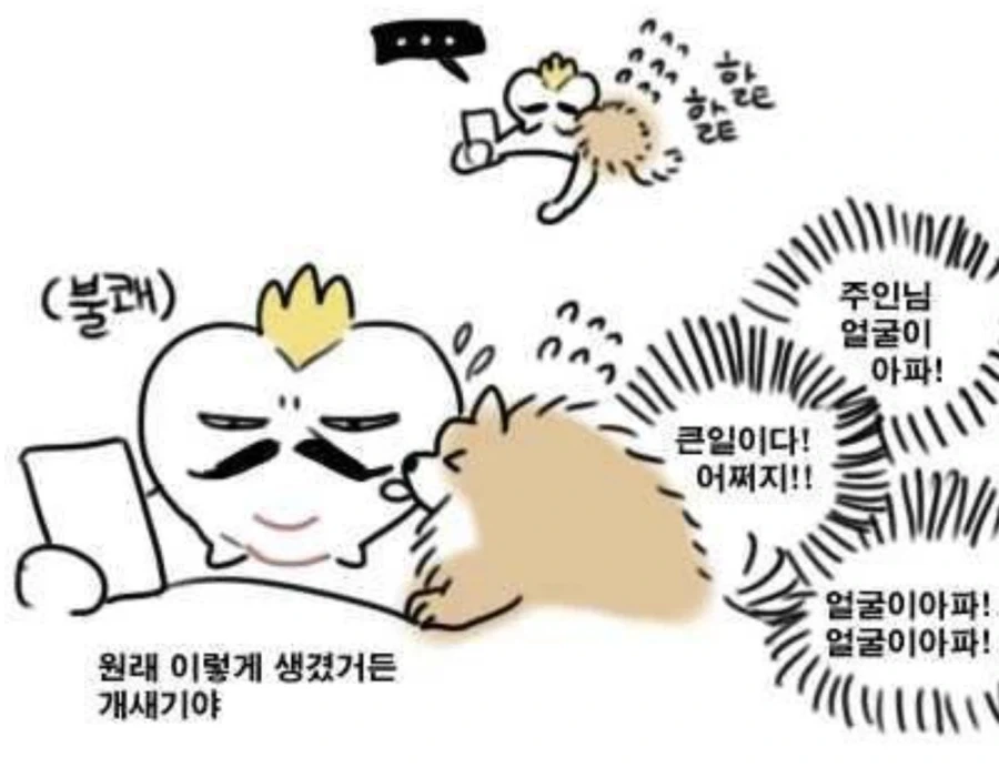 아픈곳을 핥아주는 강아지