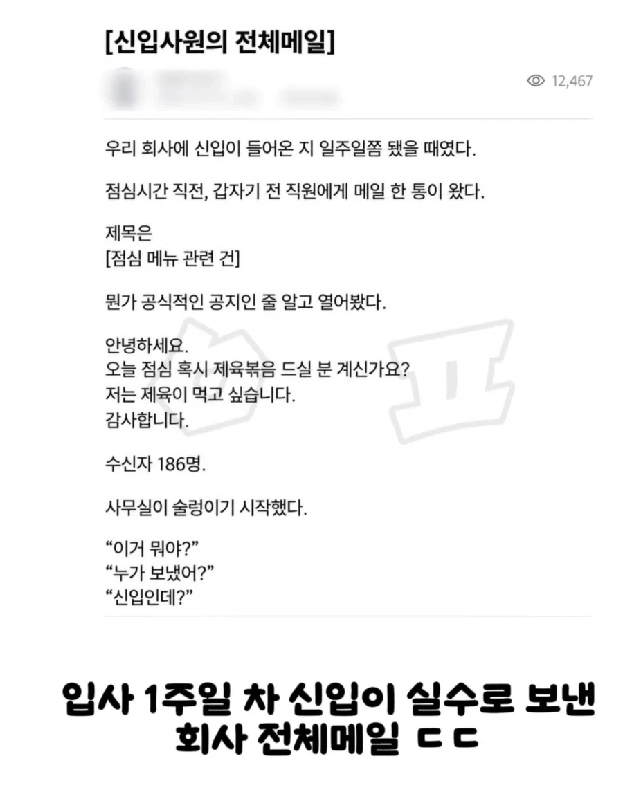 사내 메일 잘못 보낸 신입.jpg