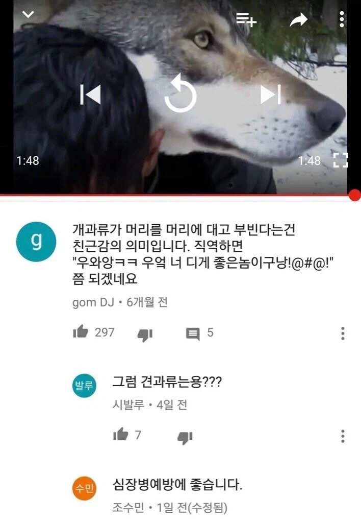 개과류가 머리를 부비는 건 친근의 의미입니다.jpg