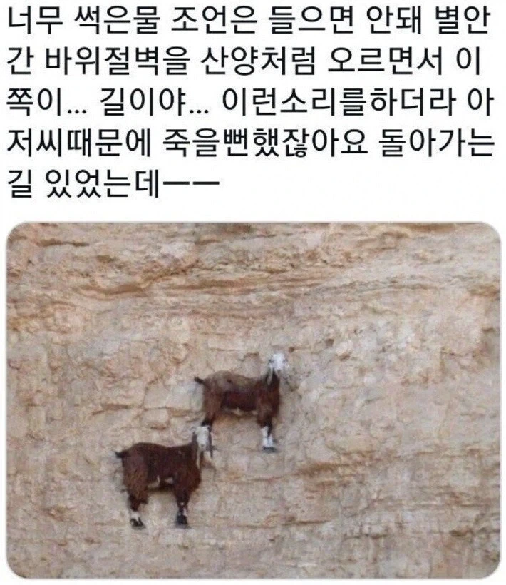 뉴비에게 친절한 등산 고인물들.jpg - 이미지 2