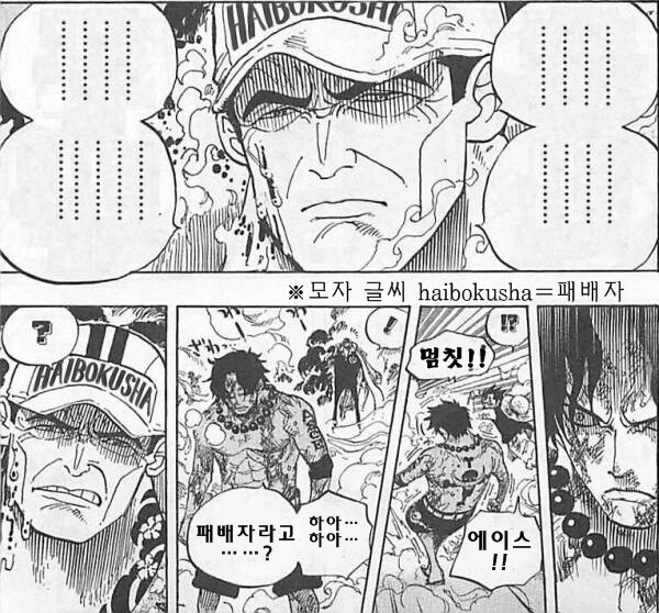 [원피스]견문색을 각성해버린 에이스