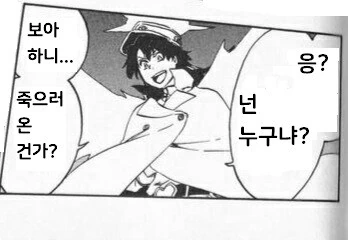 블리치) 만해팔이사신 잇카쿠