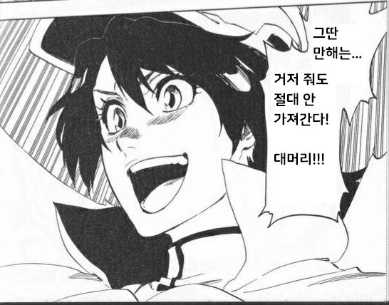 블리치) 만해팔이사신 잇카쿠 - 이미지 13