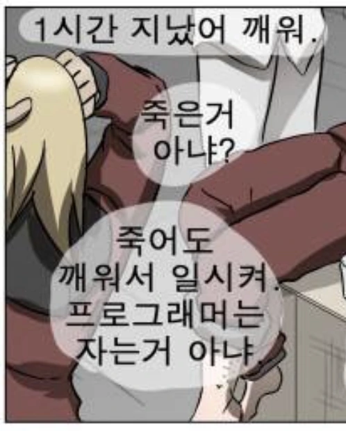 어느 만화의 프로그래머 대우