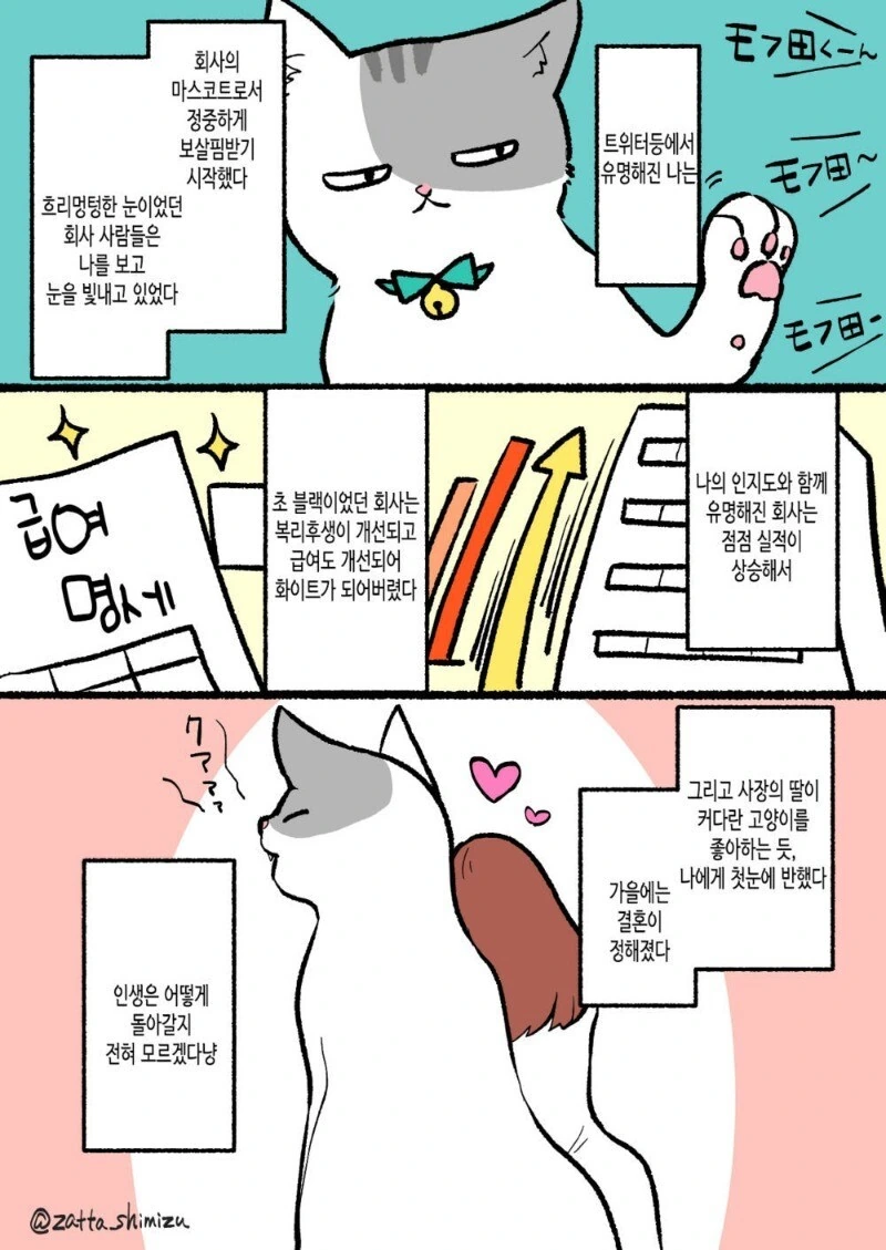고양이로 변한 만화 - 이미지 4