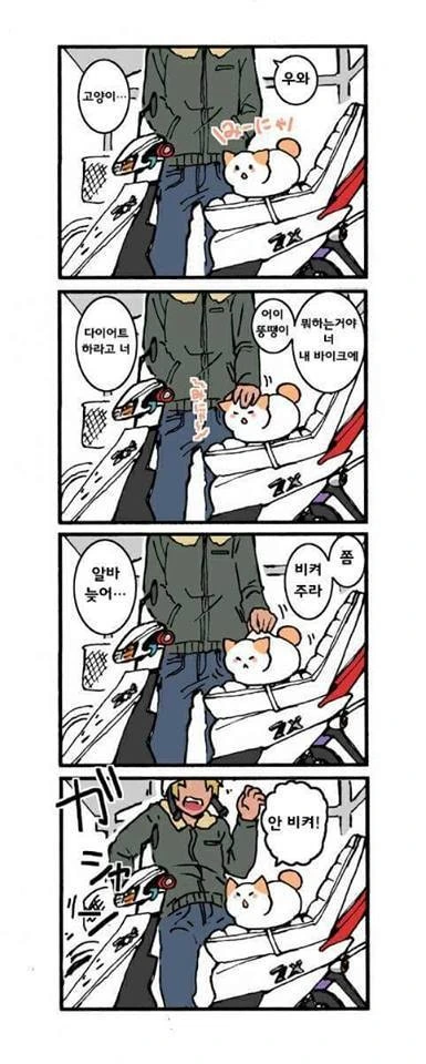 귀엽지 않다면 딸 치러가는 고양이 만화 - 이미지 2