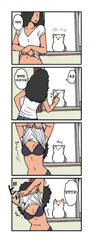 귀엽지 않다면 딸 치러가는 고양이 만화 - 이미지 8