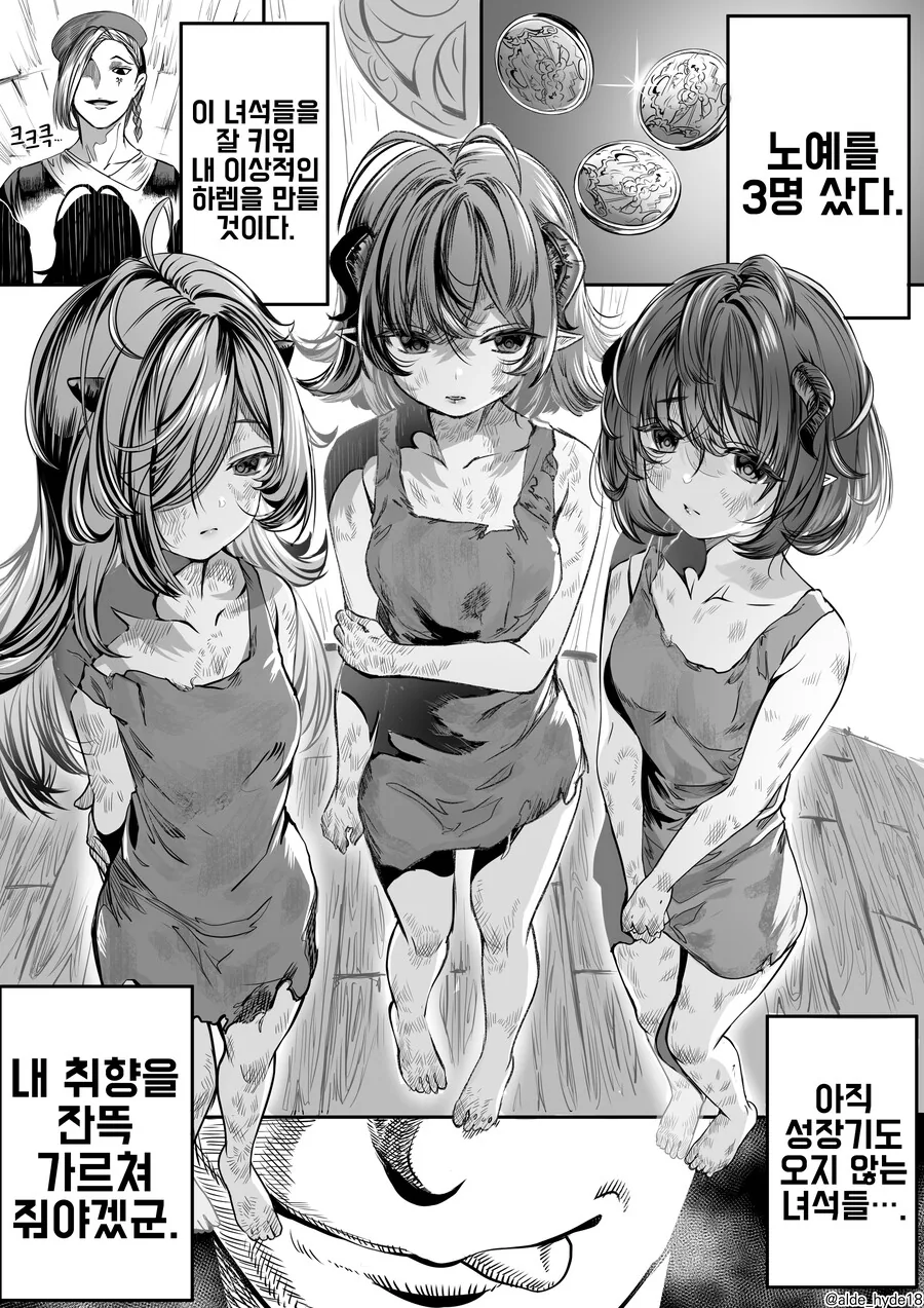 ㅎㅂ, 번역) ㄴㅇ ㅎㄹ 만화 몰아보기 1~11화 (스압)