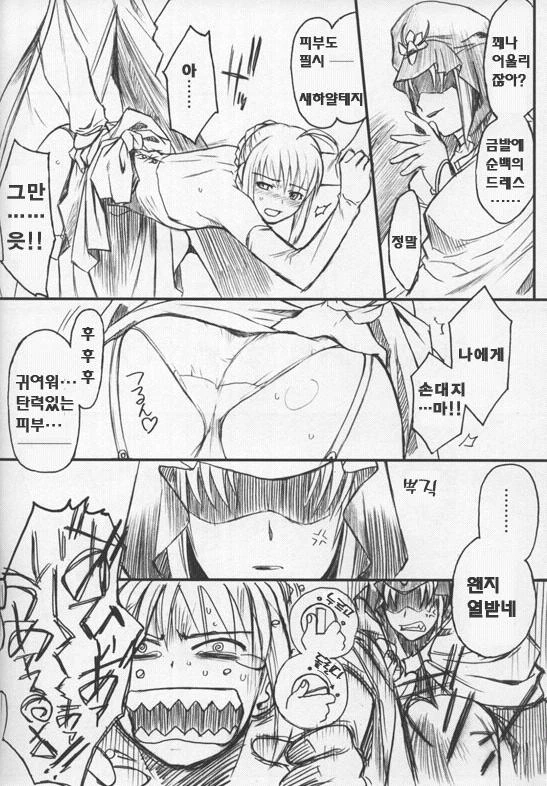탄력있는 세이버 만화.manhwa