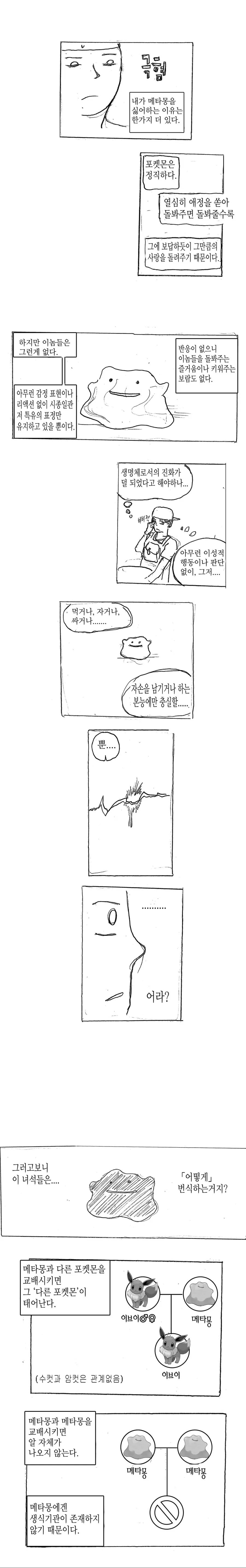 (스압)메타몽에 관한 고찰 만화 - 이미지 6