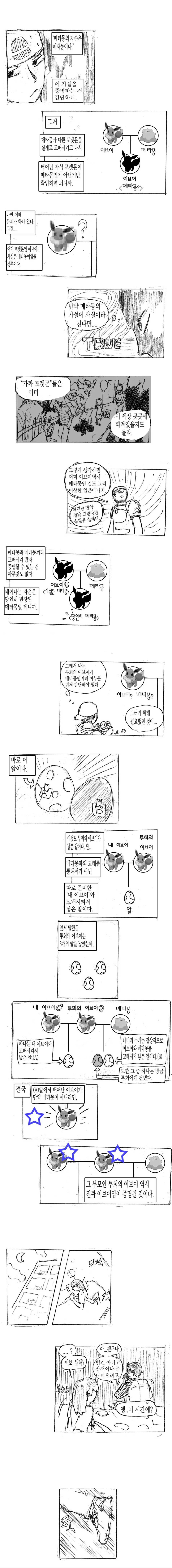 (스압)메타몽에 관한 고찰 만화 - 이미지 11