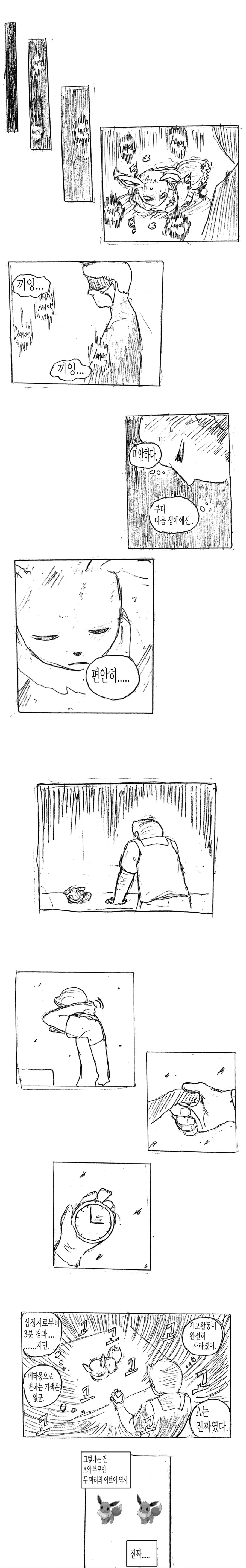 (스압)메타몽에 관한 고찰 만화 - 이미지 14