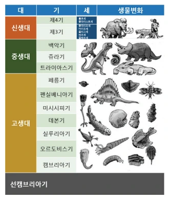화석은 성경을 증명한다.manhwa - 이미지 3