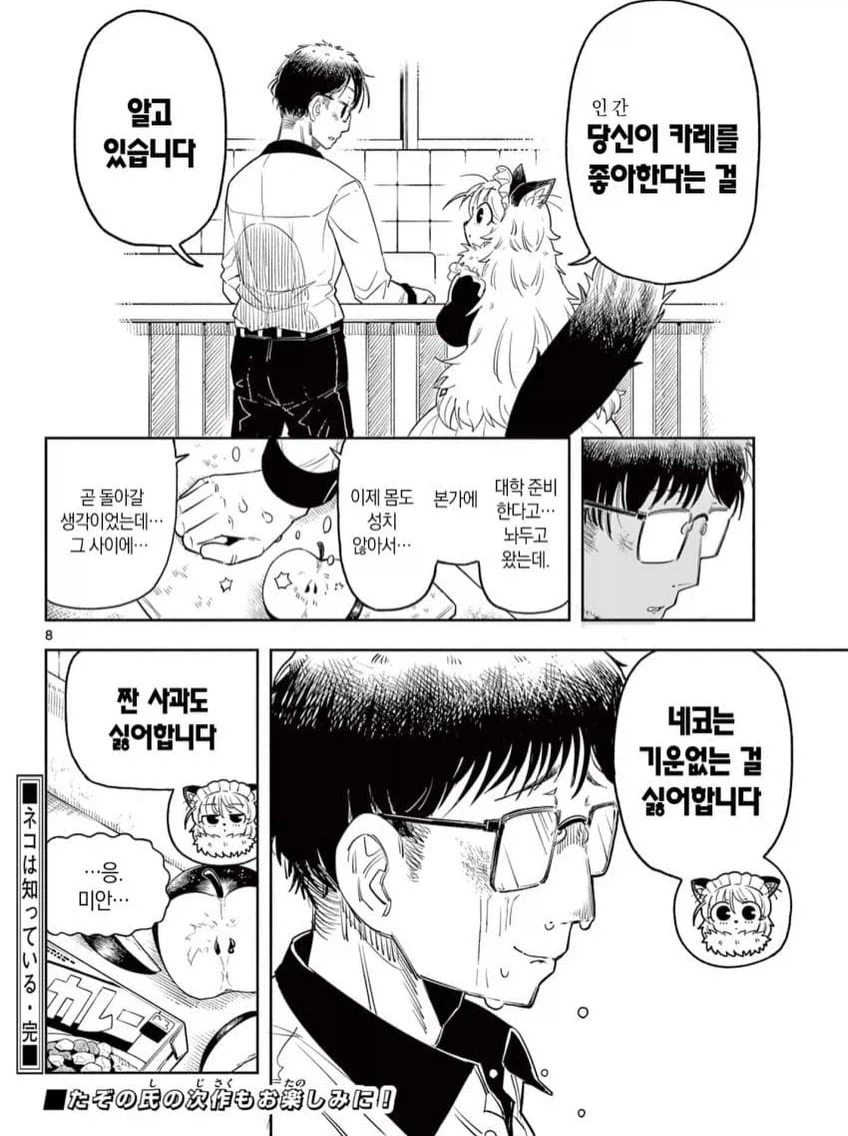 고양이 메이드 네코 manwha - 이미지 8