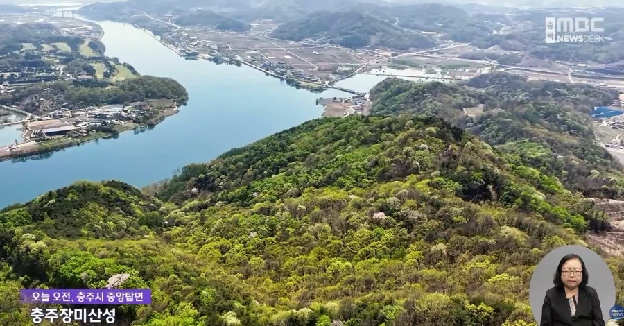충추걸 : 아싸 컨텐츠