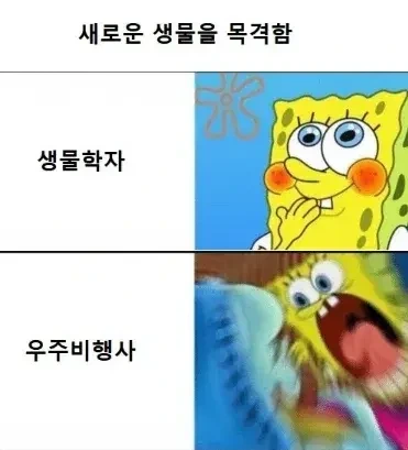 새로운 생물을 발견함.jpg