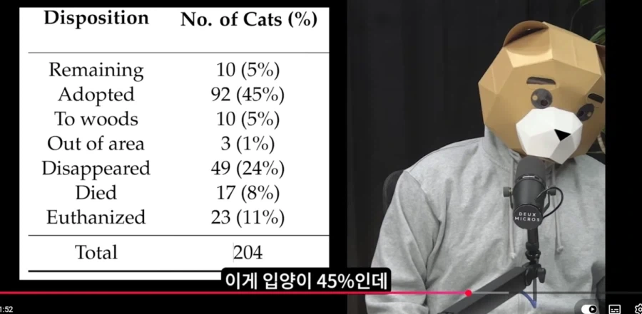 플로리다 고양이 200마리를 10마리로 만든 방법