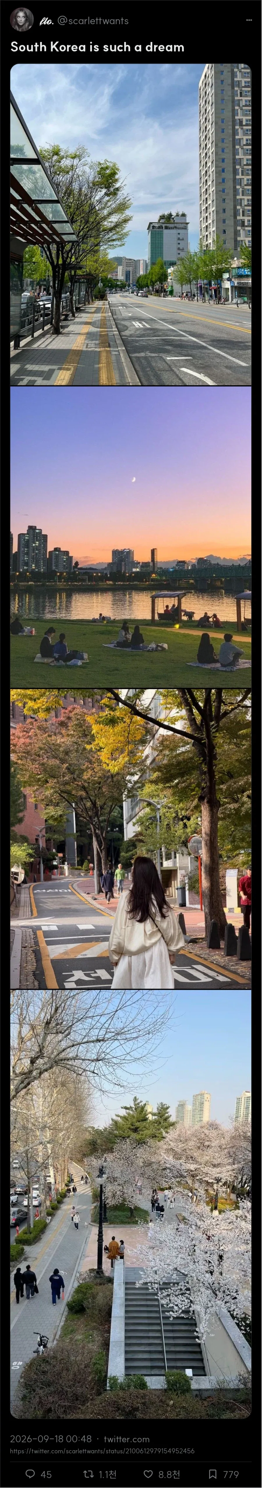 꿈 같은 곳