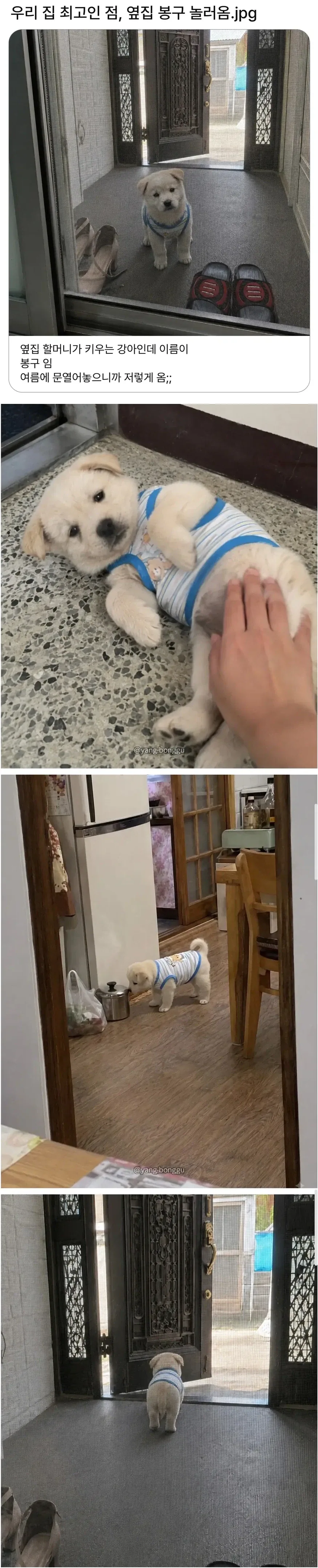 자기집이 최고인점을 소개하는 사람