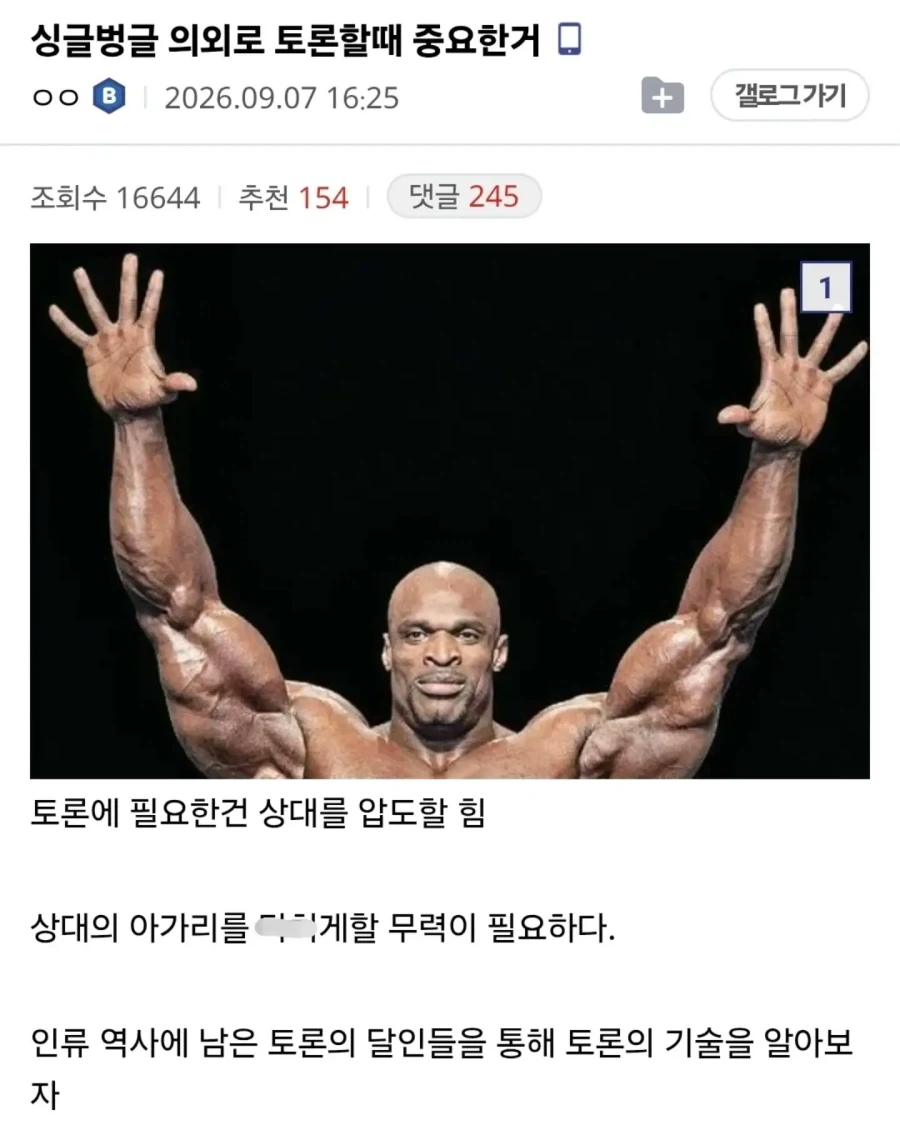 토론에 화술은 필요치않다