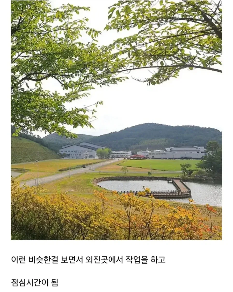 노가다 때문에 사이비 종교 신앙촌에 들어갔다 나온 사람 - 이미지 4