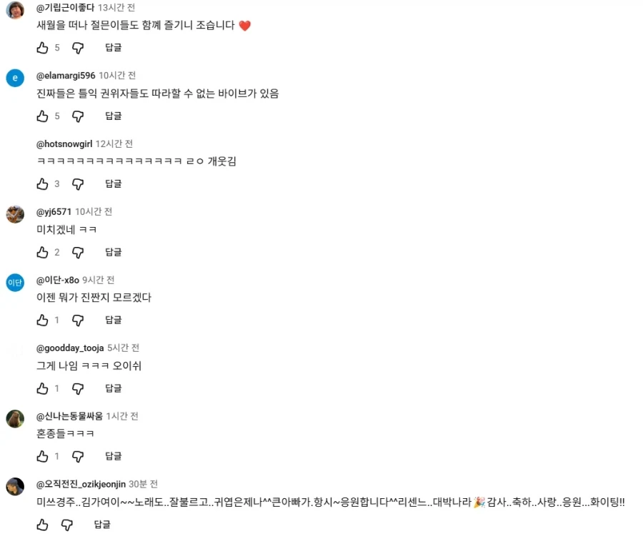 안원잘부 트로트편 댓글창 개웃기네 ㅋㅋㅋ - 이미지 7