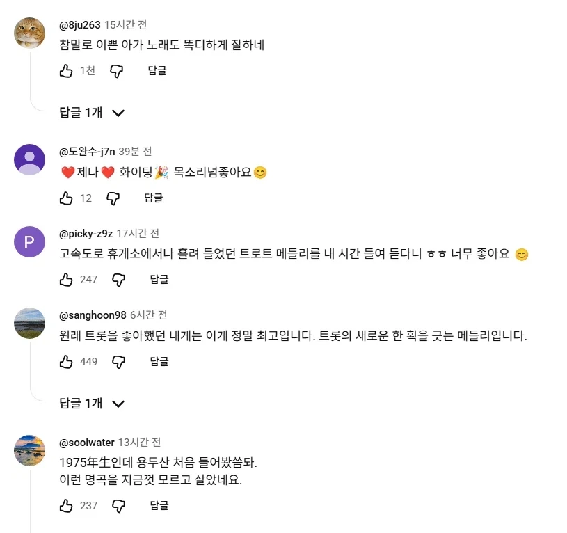 안원잘부 트로트편 댓글창 개웃기네 ㅋㅋㅋ - 이미지 9