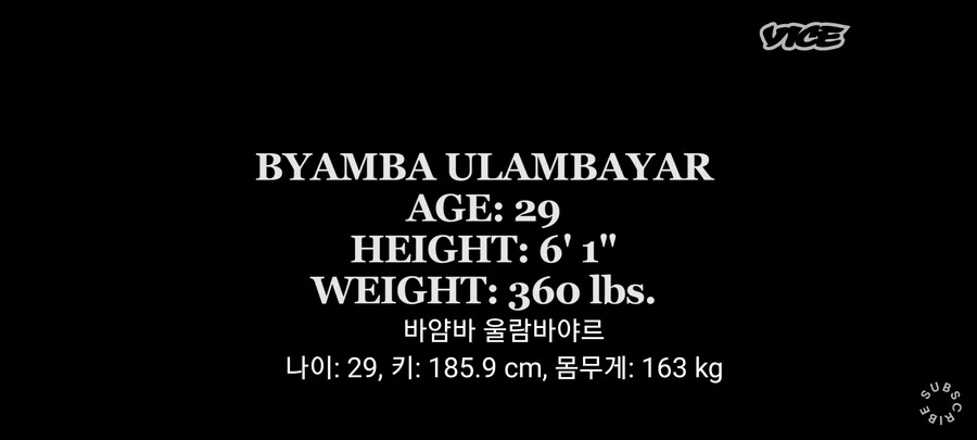 뭔가 여러가지가 섞인 스모선수.JPG