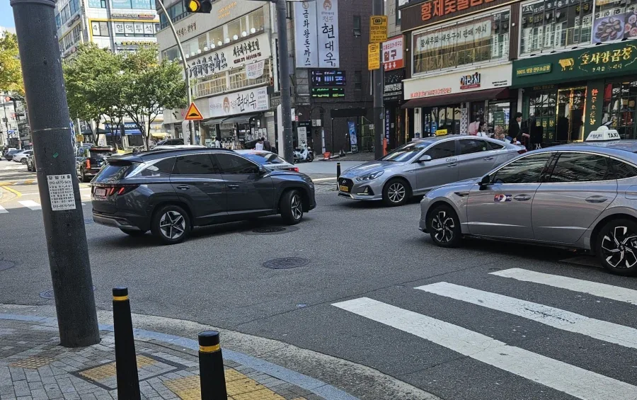 중국 역사를 실제로 보게됨