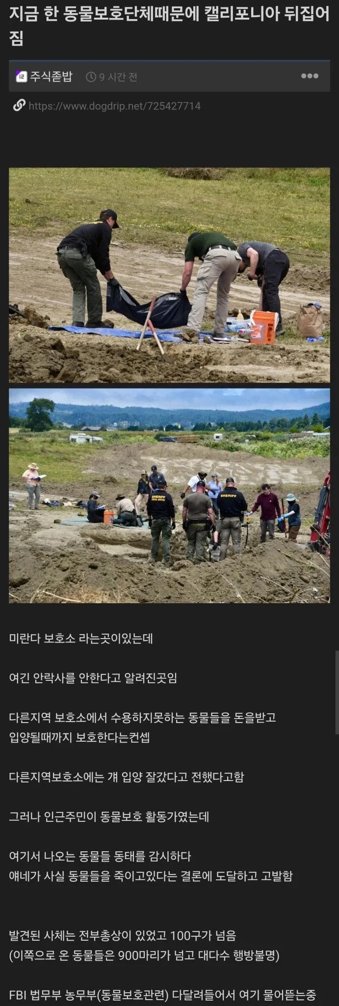 동물 보호단체의 어둠