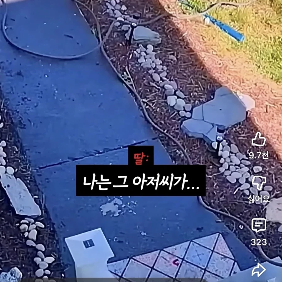 편견 없는 아기 - 이미지 5