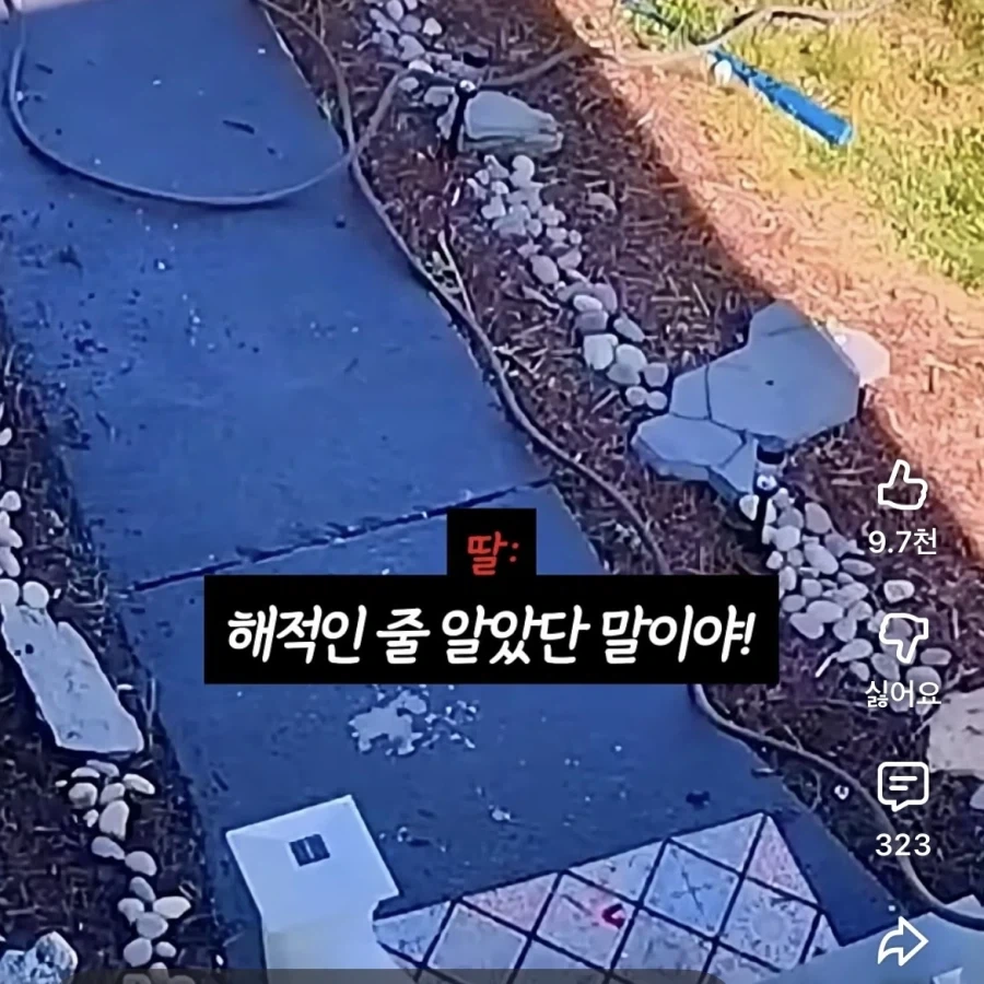 편견 없는 아기 - 이미지 6