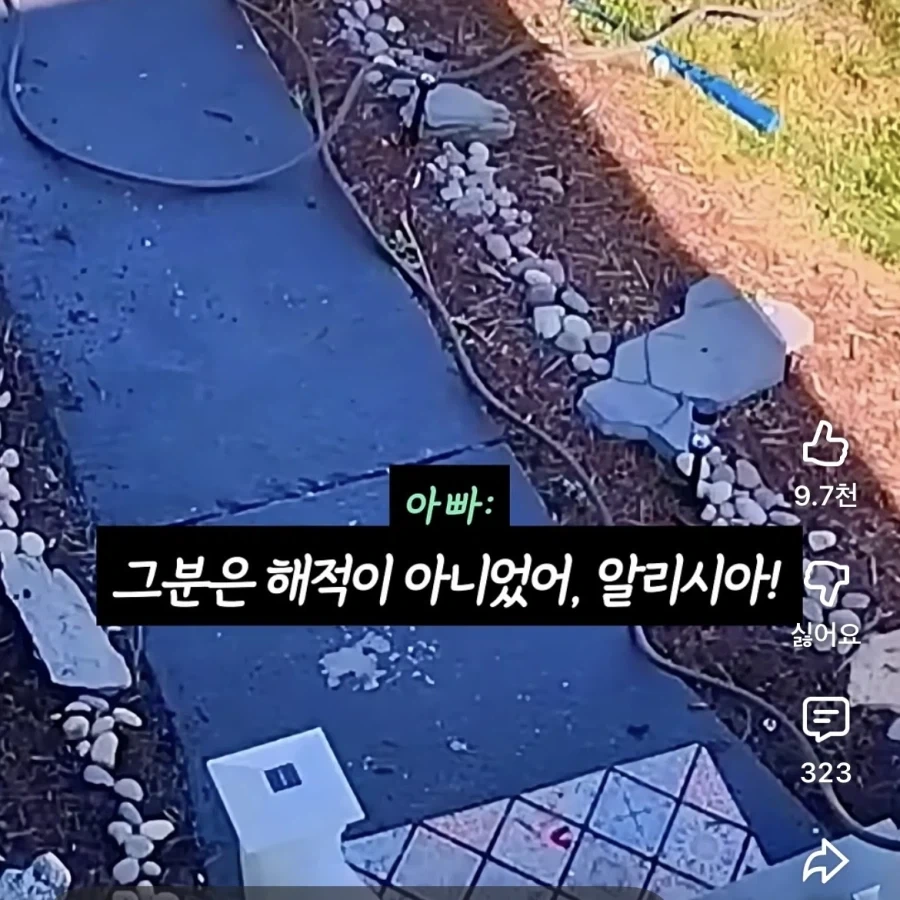 편견 없는 아기 - 이미지 7