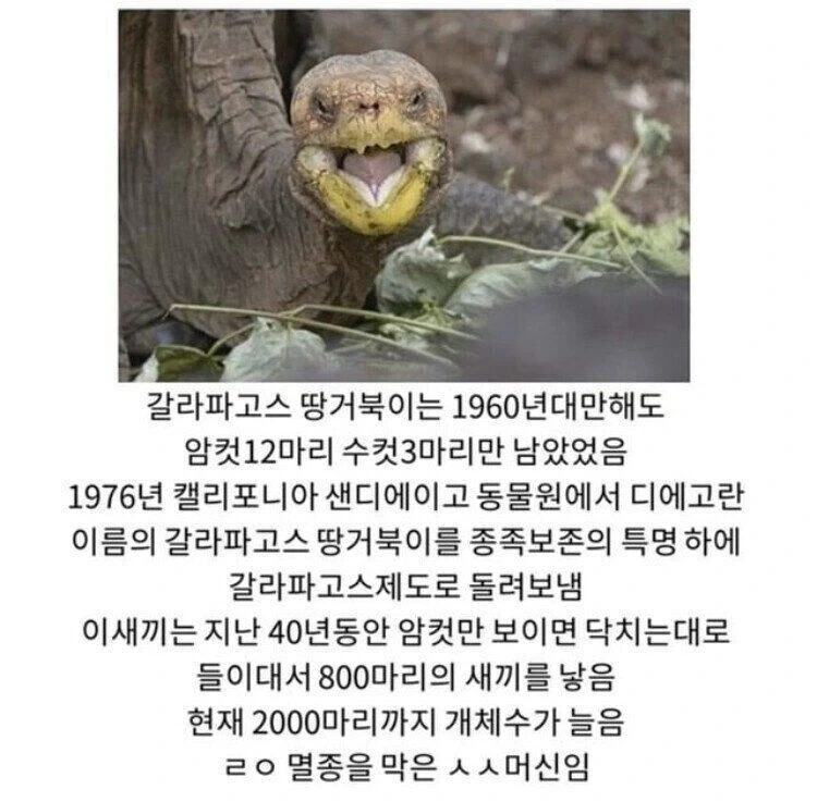 멸종을 막은 ㅅㅅ 머신.jpg