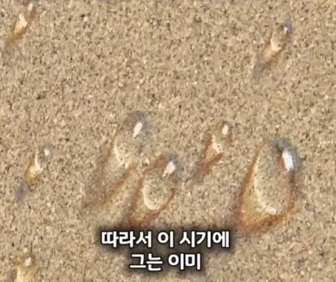 해외에 있는 한국인 화백이 그린 그림의 가치.jpg - 이미지 18