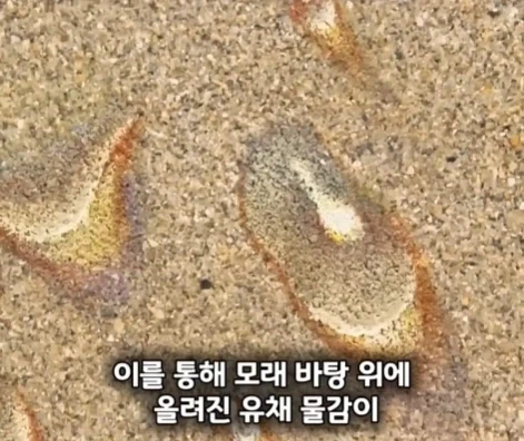해외에 있는 한국인 화백이 그린 그림의 가치.jpg - 이미지 22