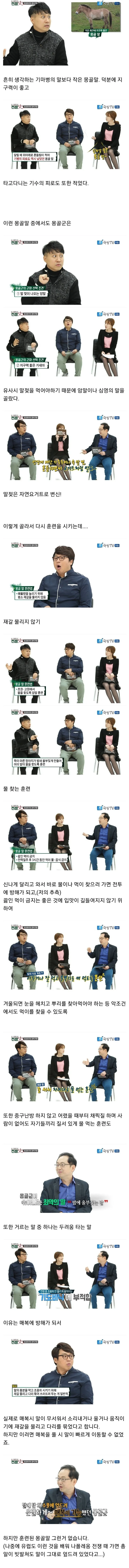 몽골제국의 핵심 군마.jpg