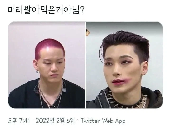 머리를 빨아먹은 남돌.jpg