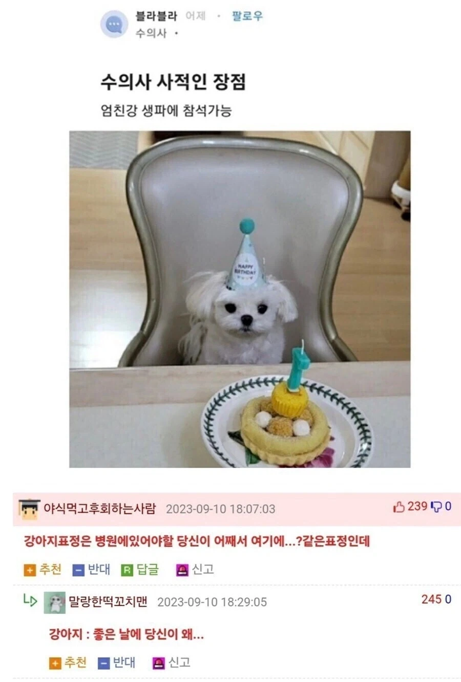 강아지 생일파티에 참석한 예상치 못한 인물.jpg