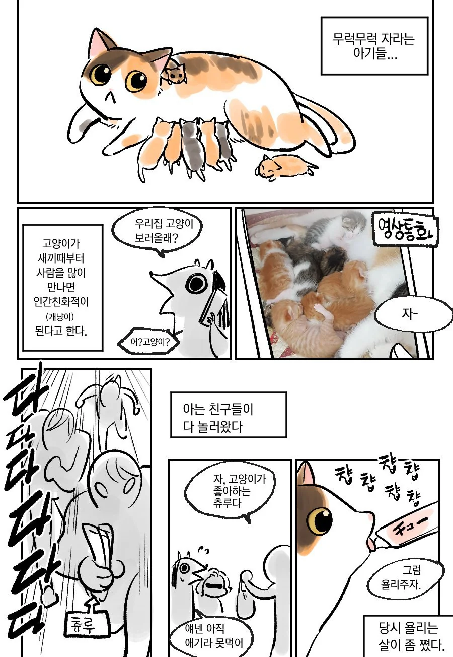 ㅇㅅ한 고양이를 주워왔더니 새끼를 낳은 만화